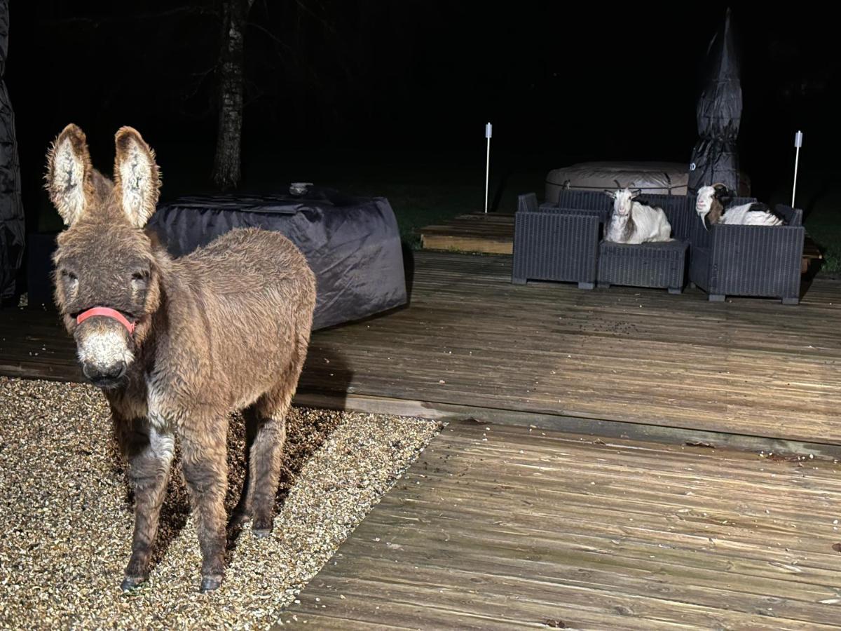 Les Gites de Claire Saint-Gatien-des-Bois Extérieur photo